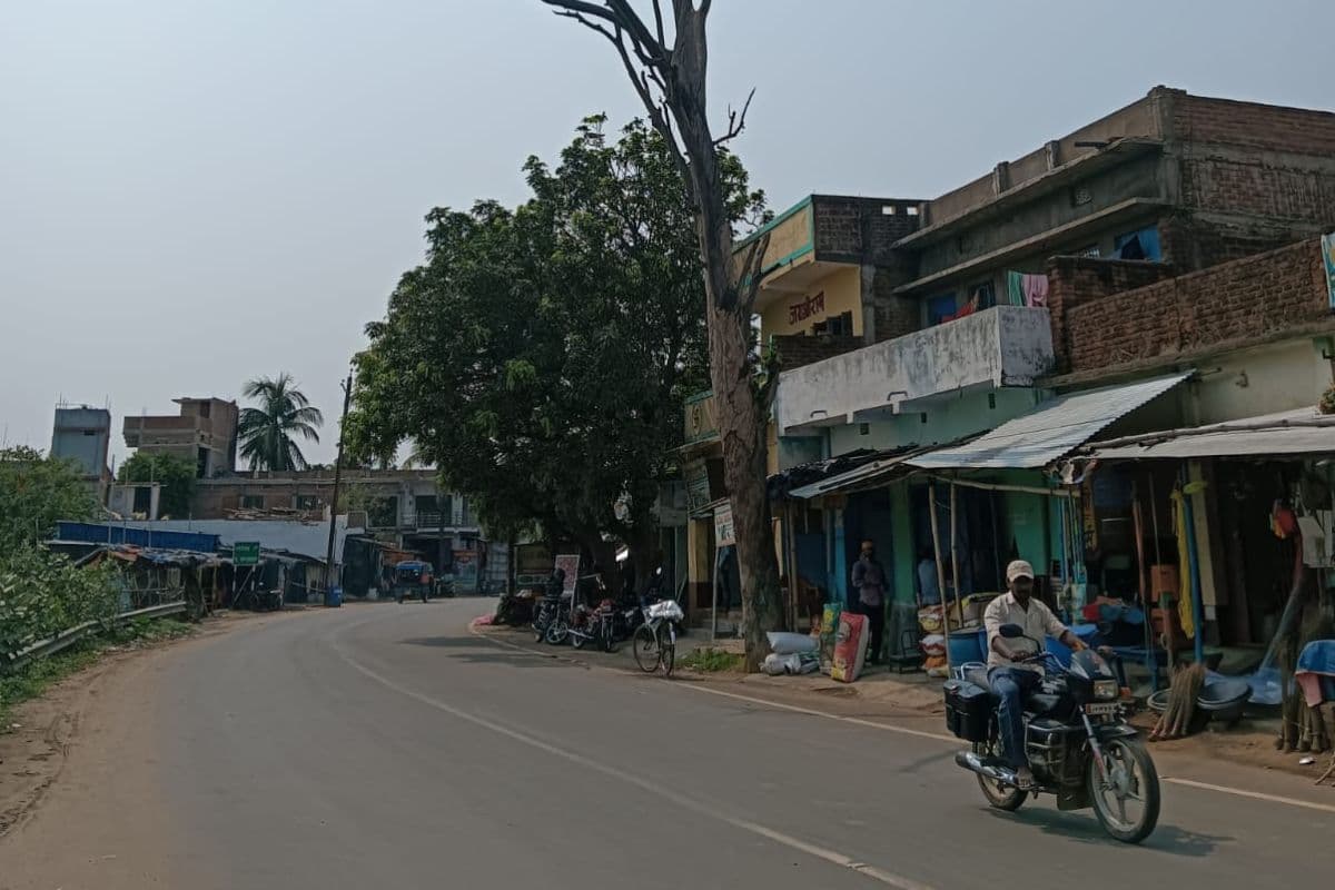 हाइवे किनारे खड़ा मौत का पेड़, पंजवारा एनएच-333ए पर हर पल हादसे का खतरा