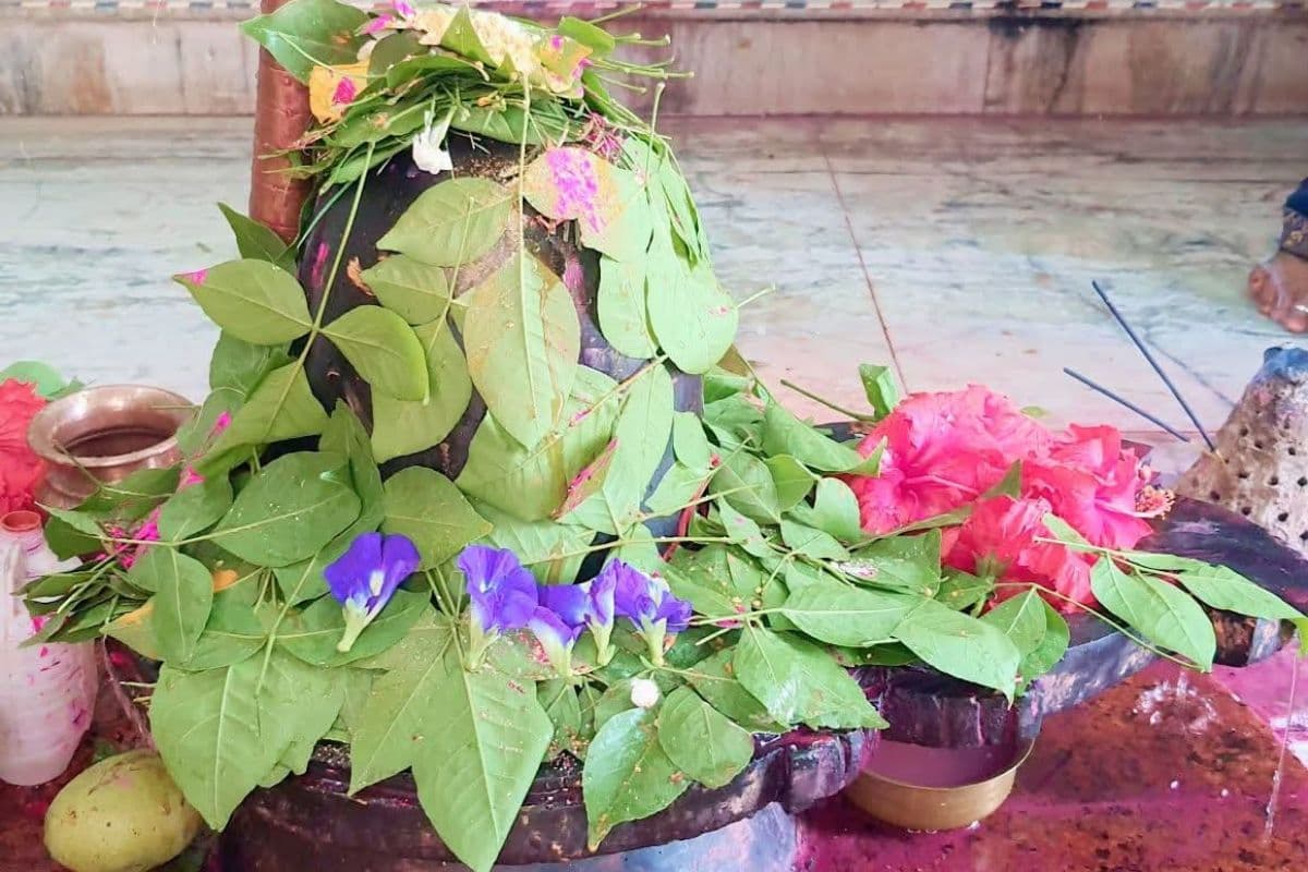 सोमवारी पर ओम नमः शिवाय के जयघोष से गूंजा कटोरिया क्षेत्र