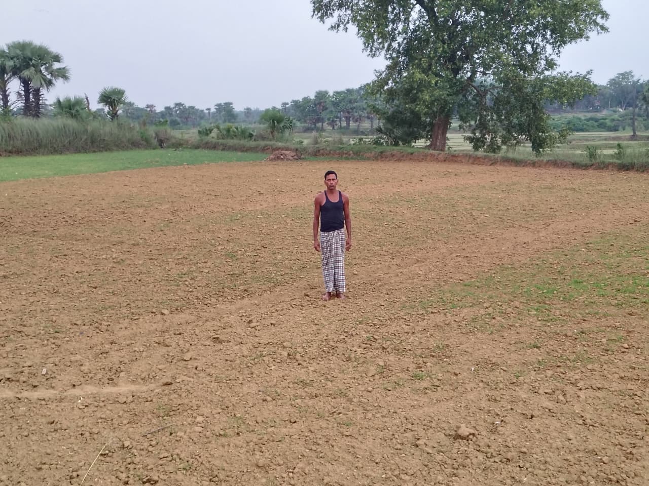 खेतों में नमी कम रहने के बावजूद डाला धान का बीज, पर हुआ अंकुरित