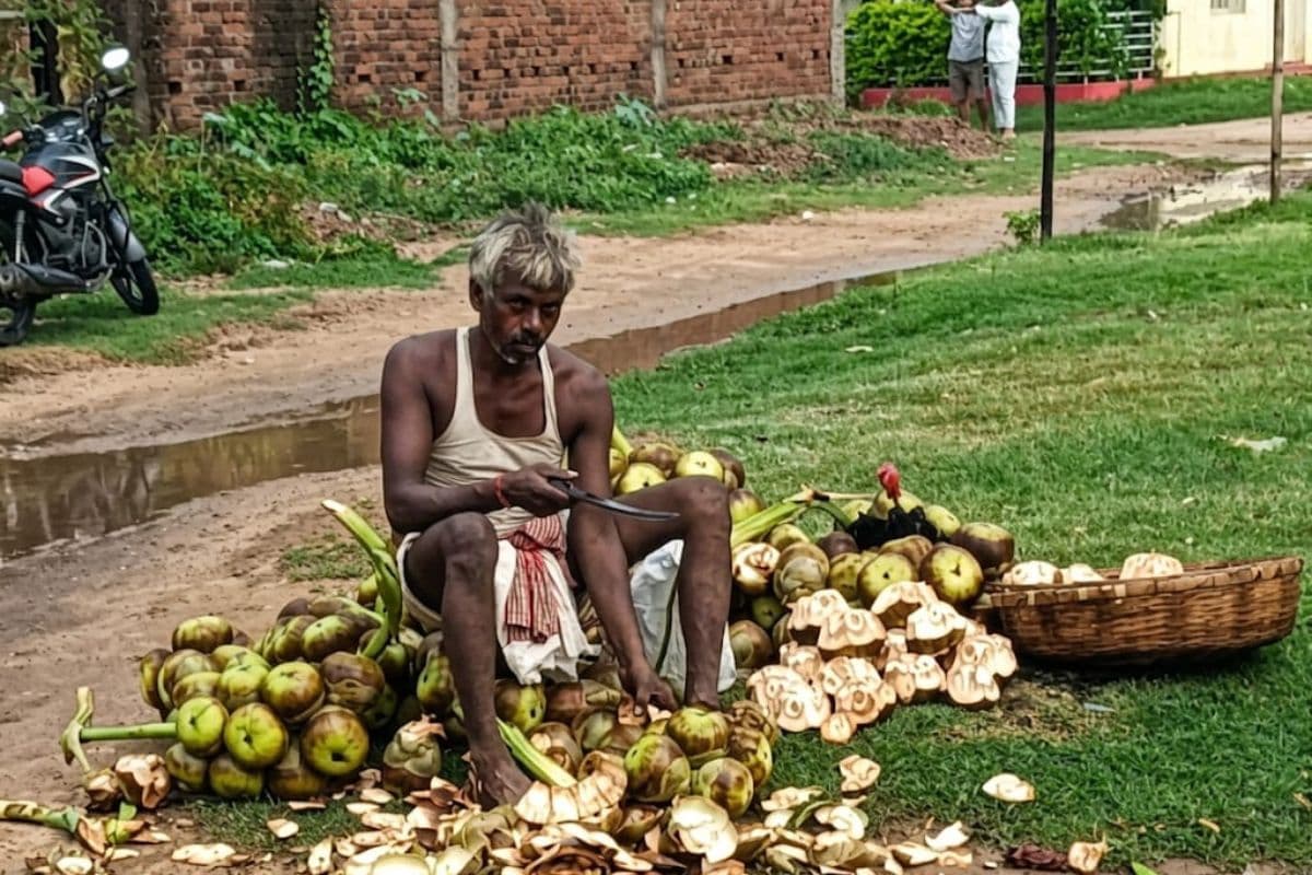 गर्मी से बचना है तो खाइये ताड़ का फल, ग्रामीण इलाकों में कमाई का नया जरिया