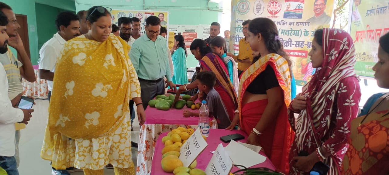 6000 एकड़ में आम की बागवानी से किसानों को हो रहा लाभ : डीपीएम