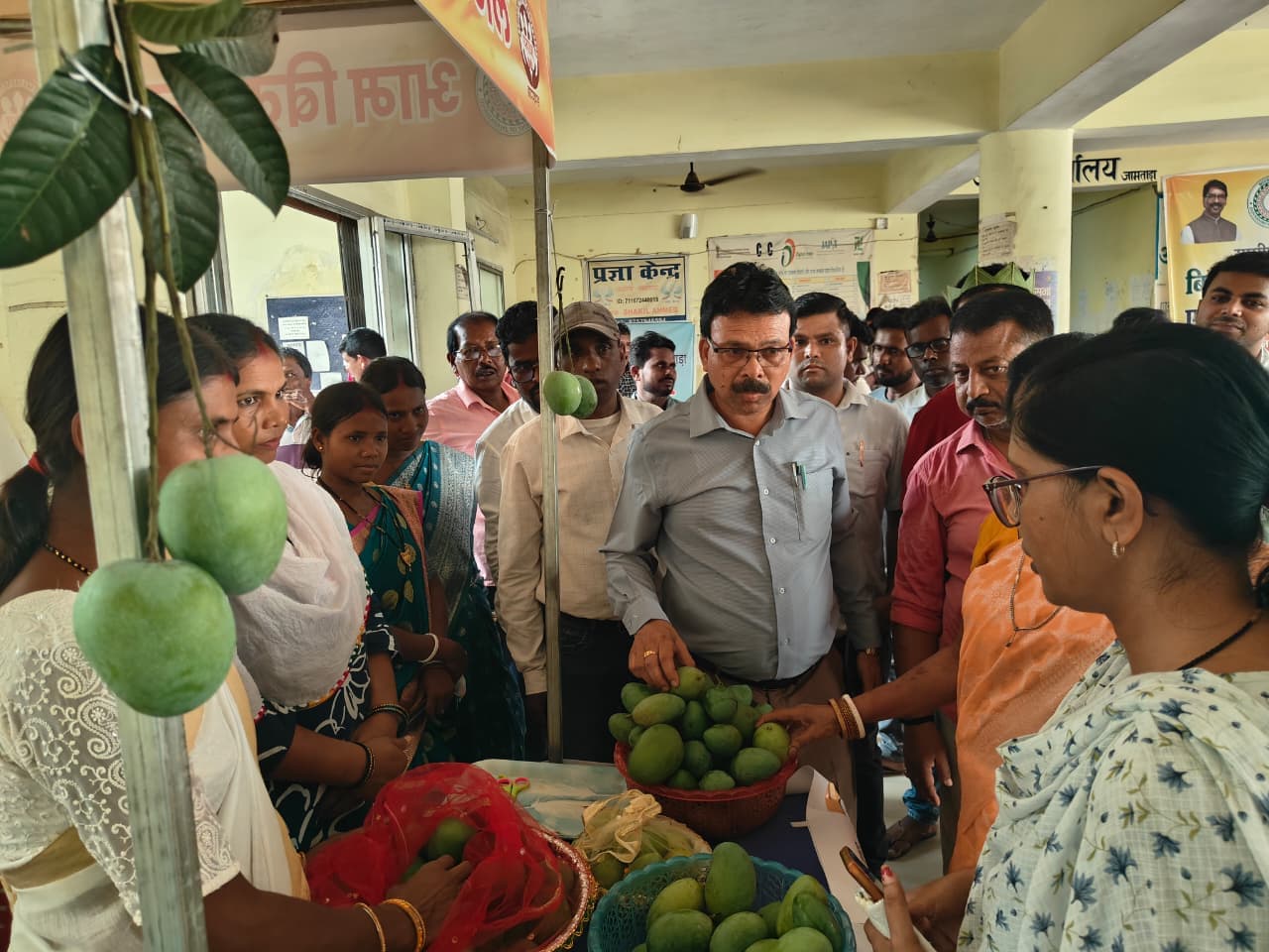 आम उत्पादन में वृद्धि से किसानों की बढ़ी आय : प्रभारी बीडीओ