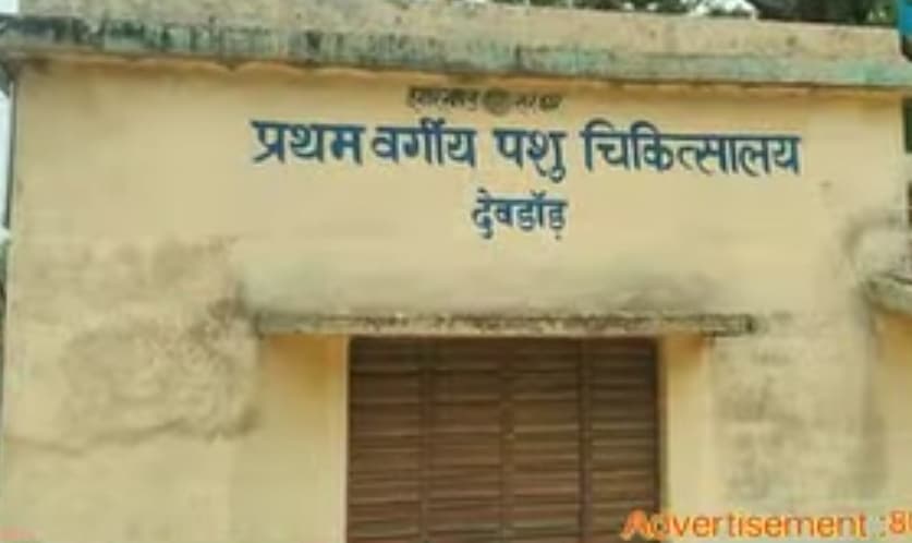 चिकित्सक के अभाव में बदहाल देवदांड़ पशु चिकित्सालय