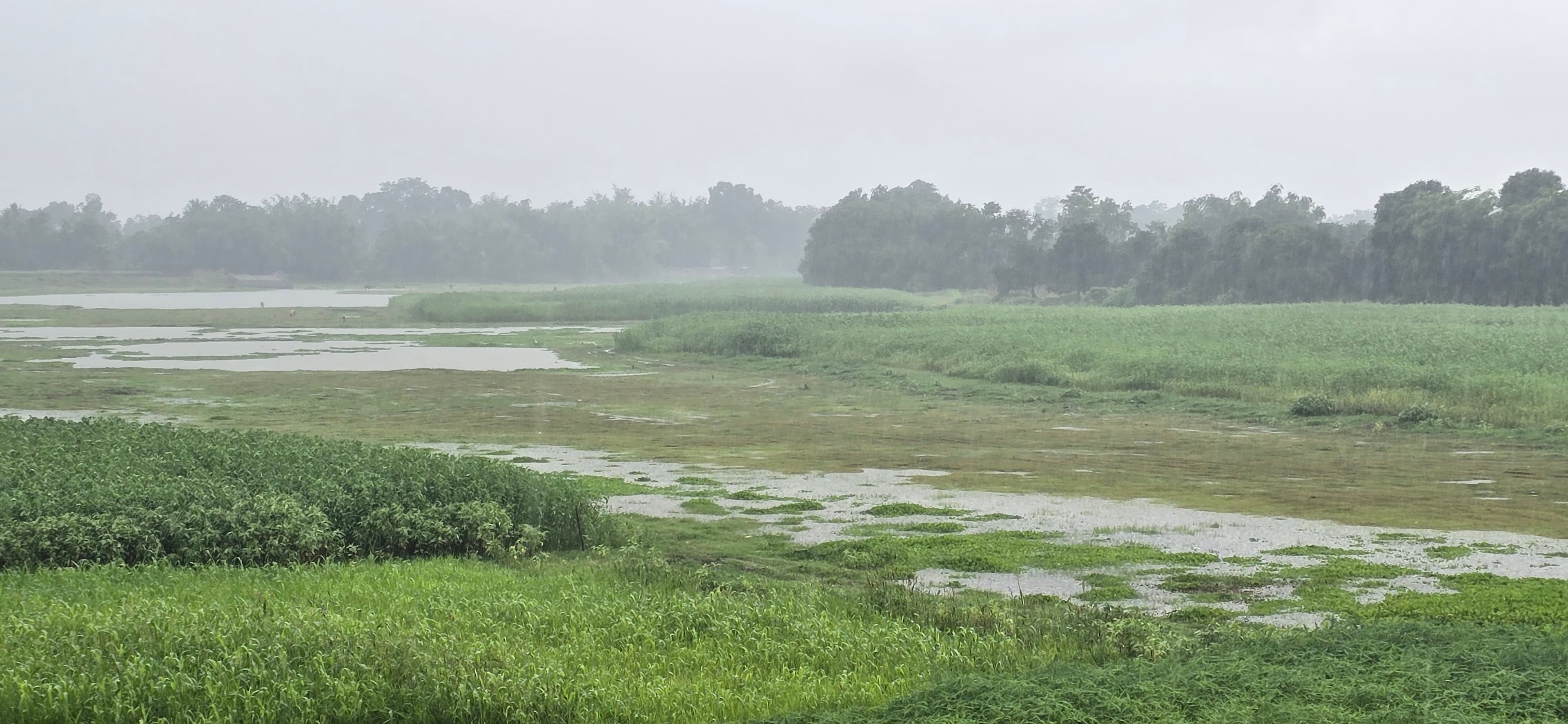 अचानक तेज हवा के साथ हुई बारिश, मौसम पूरे दिन बना रहा सुहाना