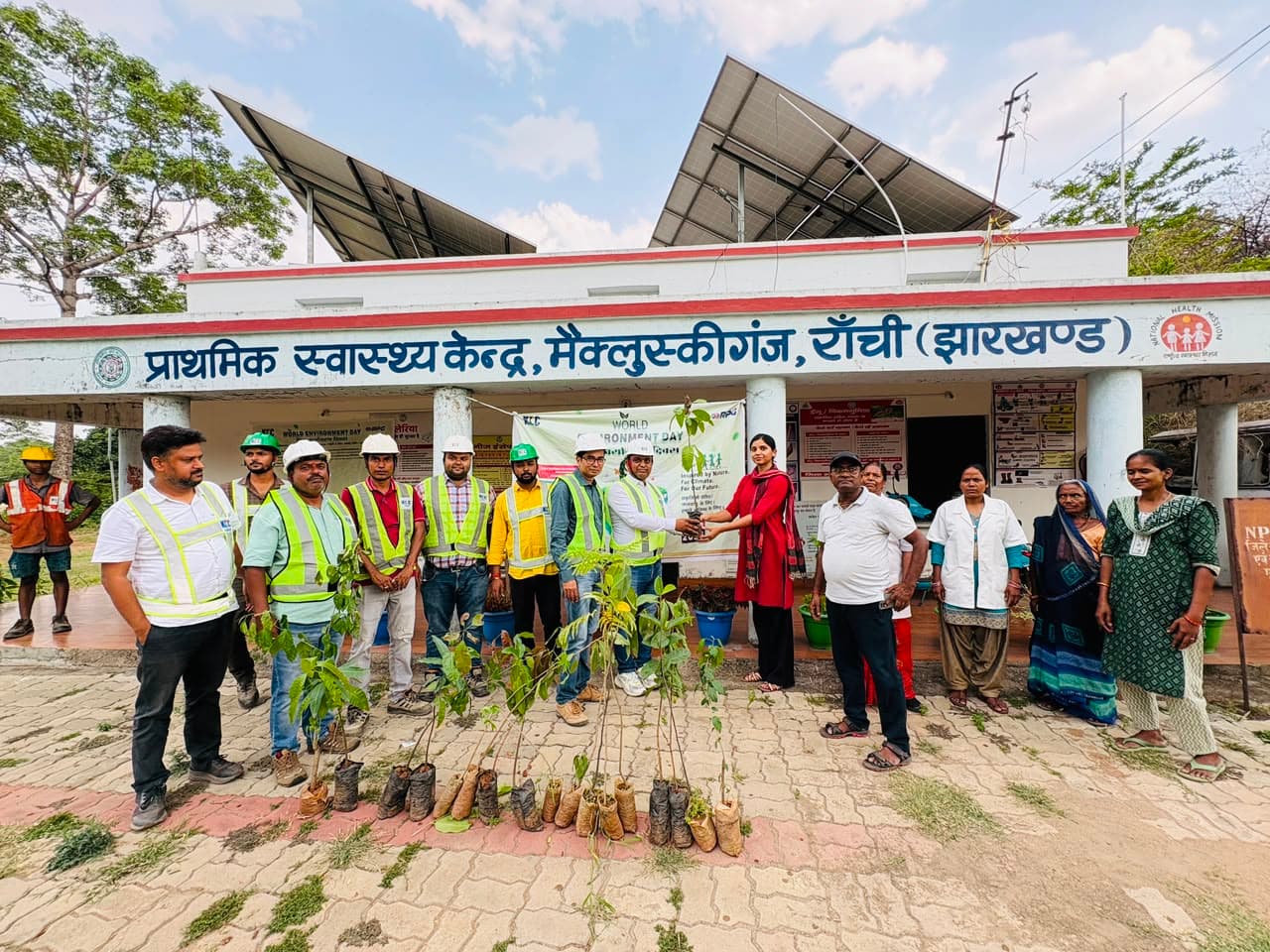 200 पौधे लगाये व 1000 सीड बॉल्स का किया वितरण