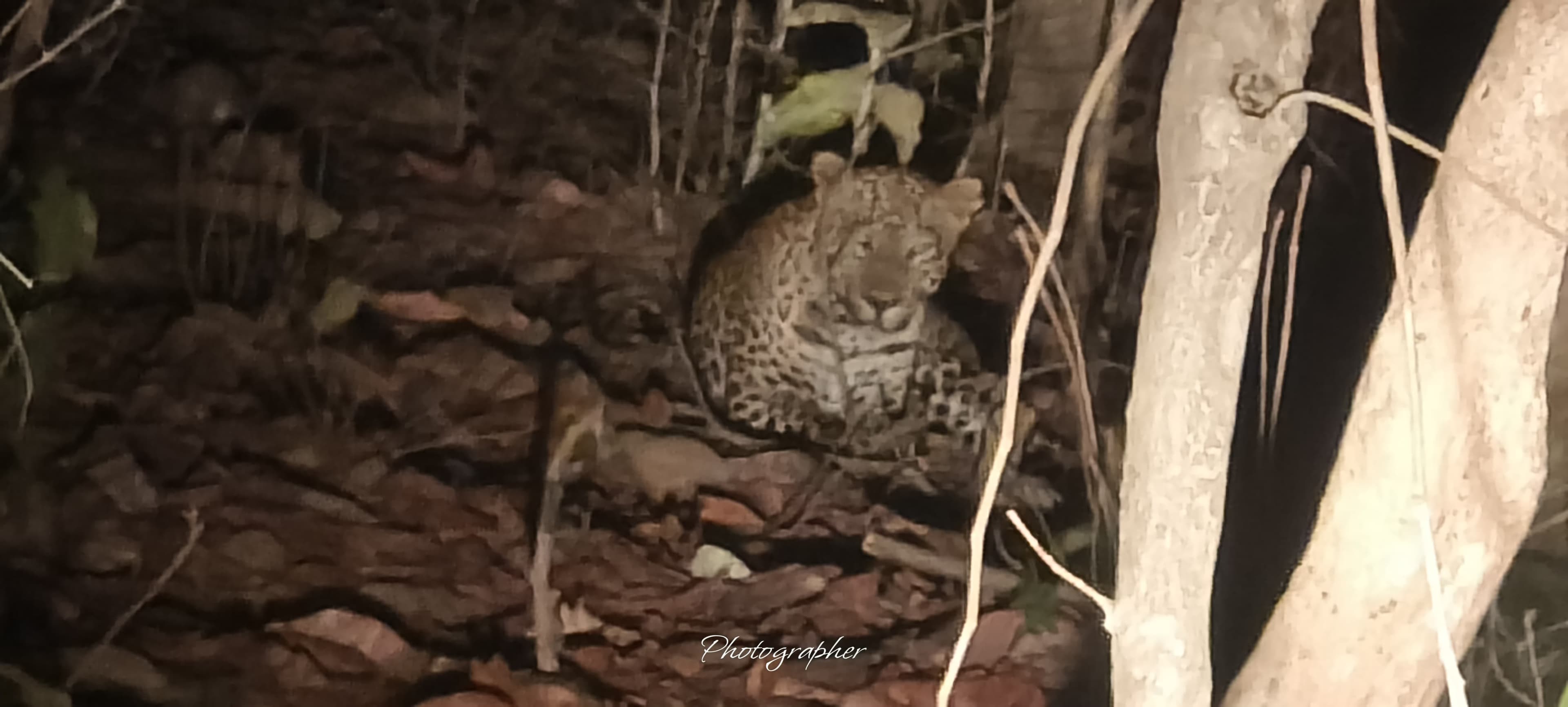 नक्सल छाया से निकलकर पर्यटन की नई पहचान गढ़ रहा बरहट,