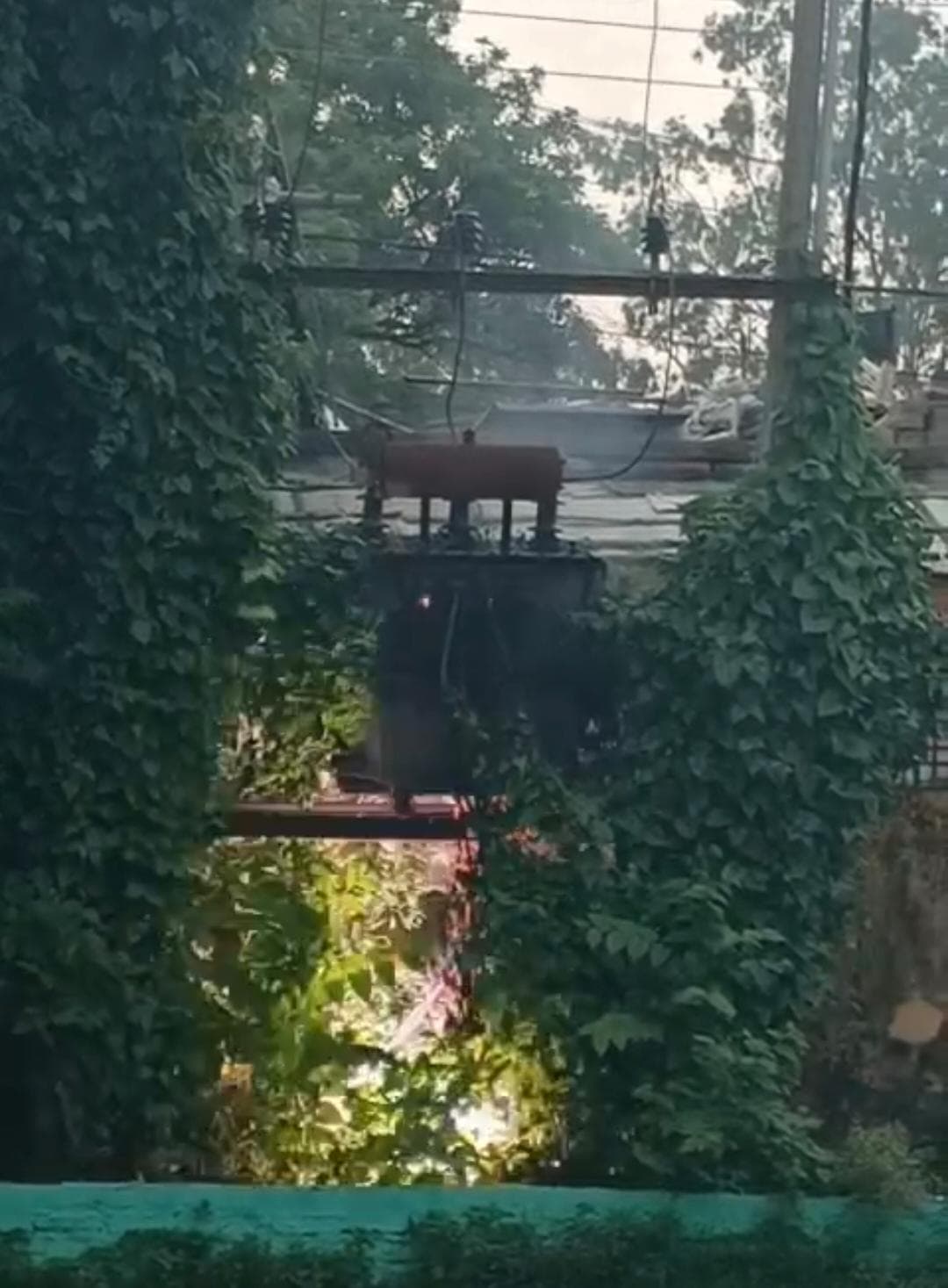 संयुक्त कृषि भवन के ट्रांसफार्मर में लगी आग, समय रहते पाया काबू
