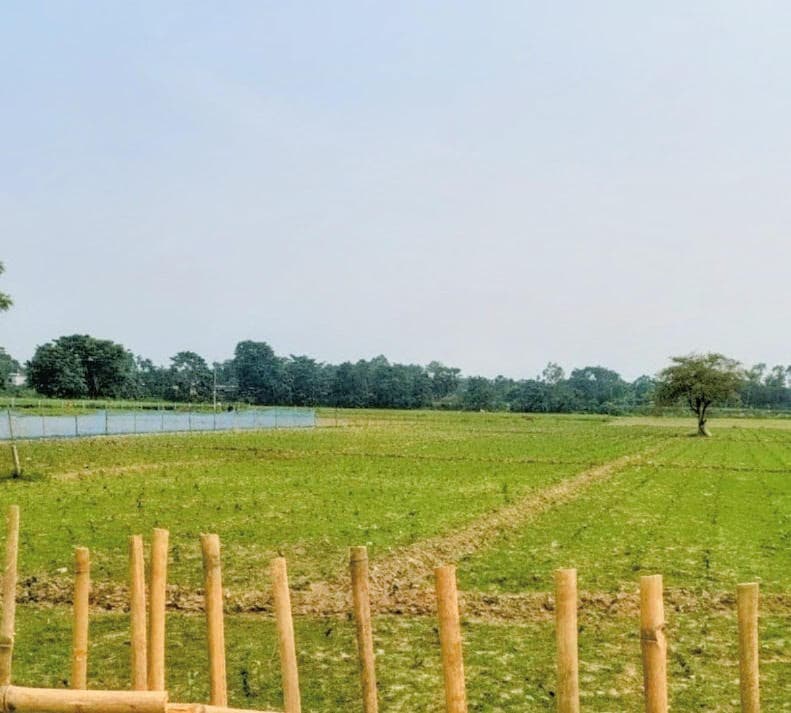 आदेश बेअसर, नहीं हटाया गया अतिक्रमण, डीएम से हस्तक्षेप की मांग