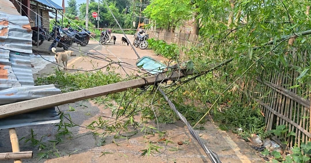 आंधी-तूफान से सड़क पर गिरा विशालकाय पेड़, बिजली के दो खंभे  क्षतिग्रस्त