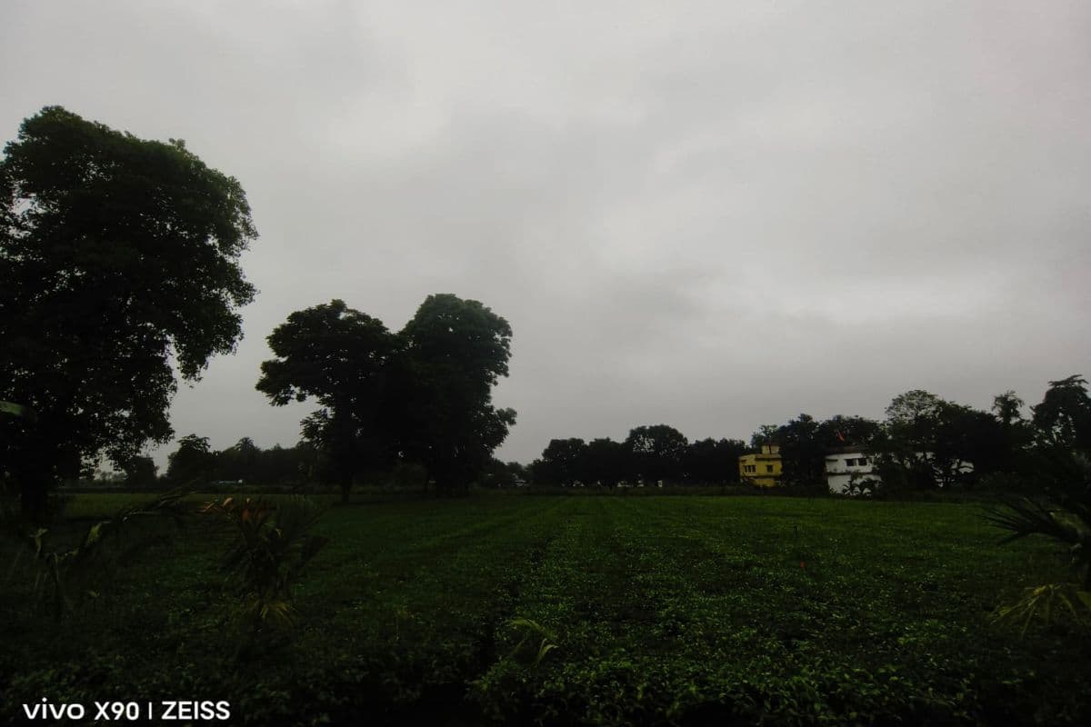 किशनगंज में झमाझम बारिश से तर-बतर हुआ जिला, कई इलाकों में जलजमाव, किसानों के चेहरे खिले