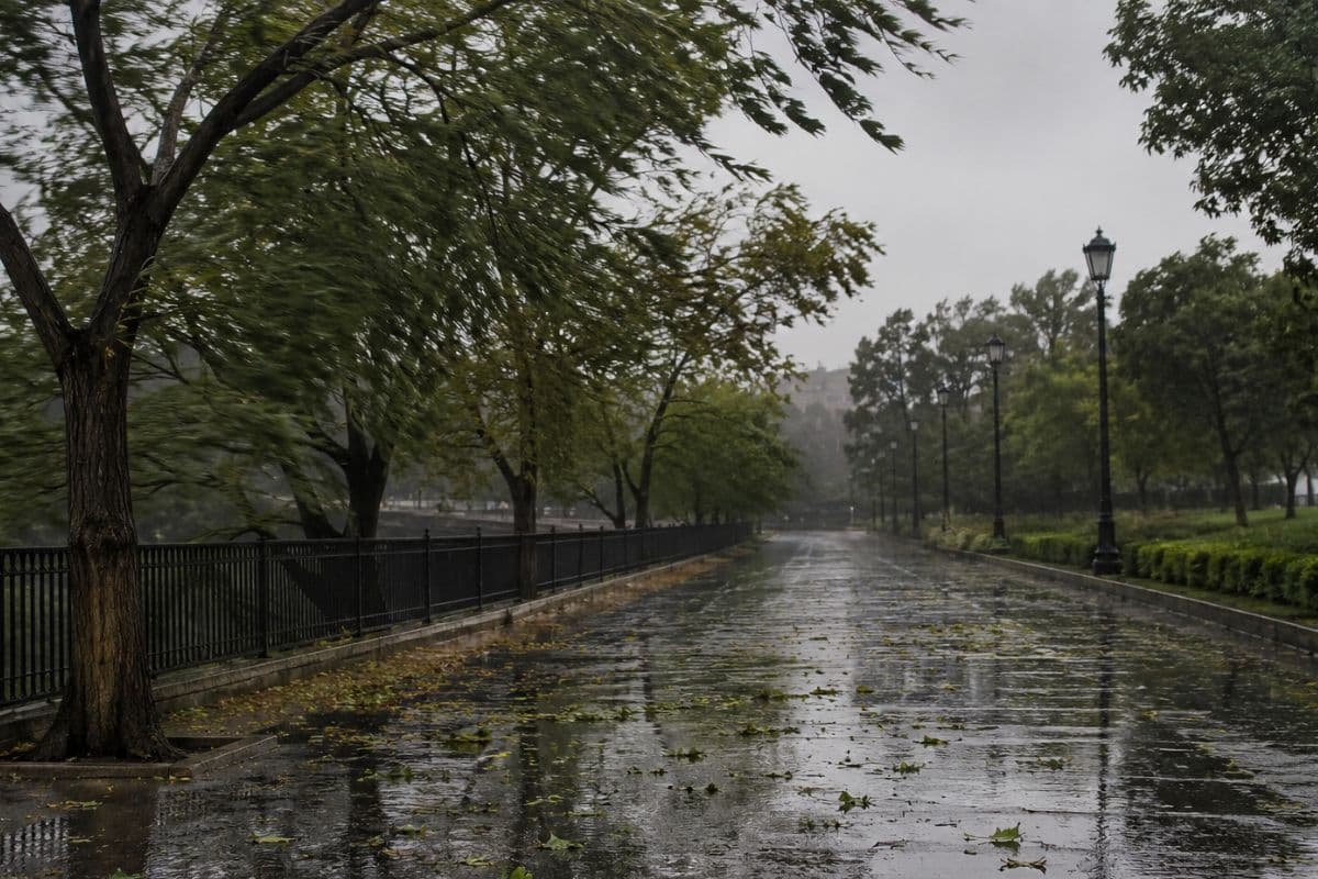 झारखंड में गरजेंगे बादल, बारिश के साथ 50 किमी प्रति घंटे की रफ्तार से तेज हवा चलने की संभावना