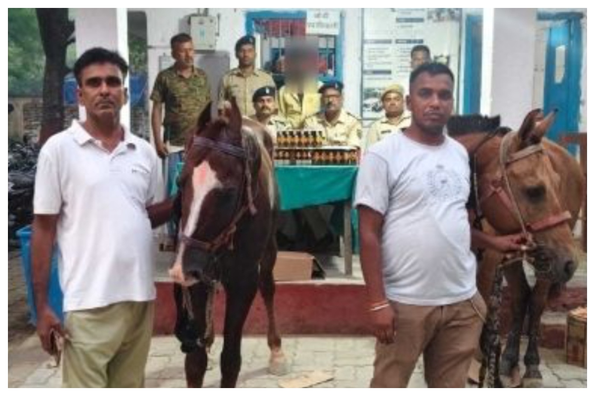 Bettiah News: घोड़ों पर लादकर की जा रही थी विदेशी शराब की तस्करी, उत्पाद अधिनियम के तहत दो घोड़े और शराब जब्त