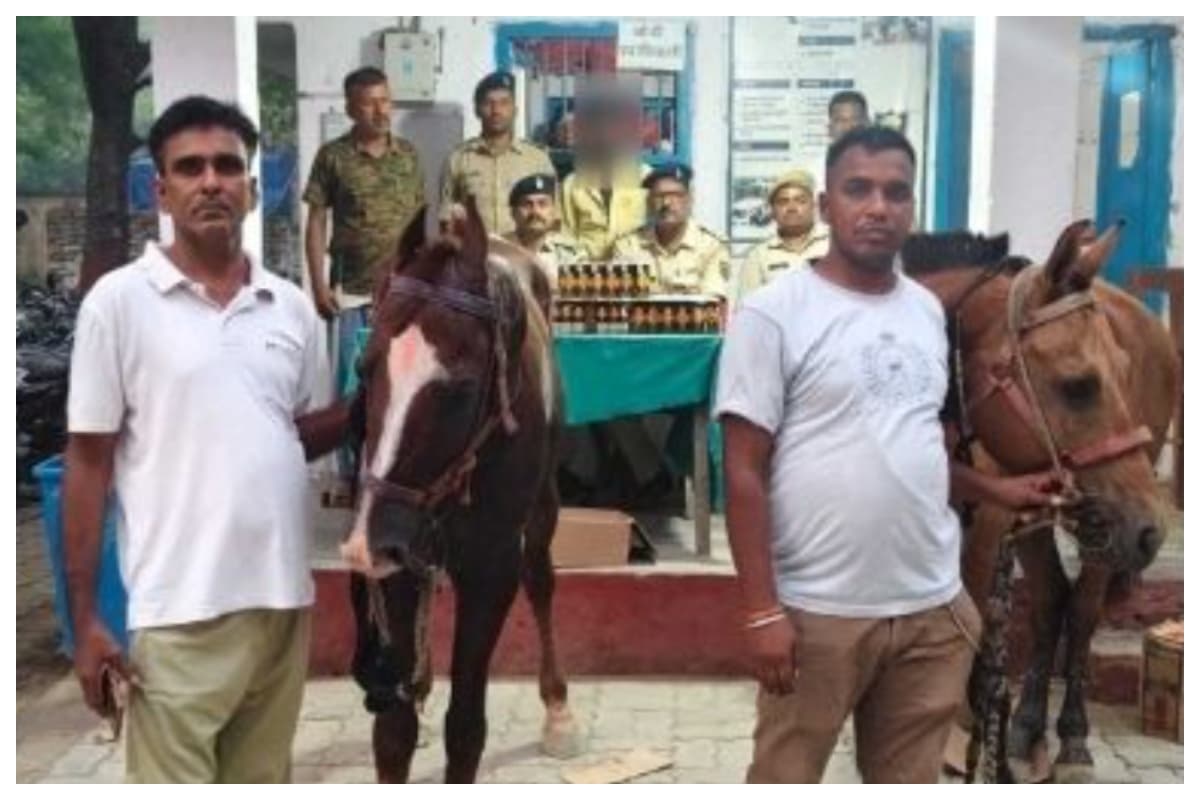 Bettiah News: घोड़ों पर लादकर की जा रही थी विदेशी शराब की तस्करी, उत्पाद अधिनियम के तहत दो घोड़े और शराब जब्त