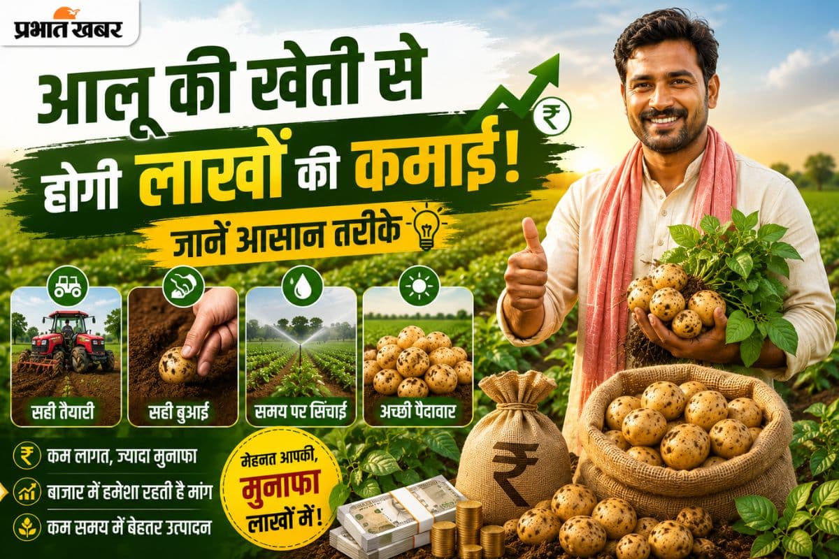 आलू की खेती से लाखों कमाना चाहते हैं? कृषि वैज्ञानिक ने बताए बंपर मुनाफे के आसान तरीके