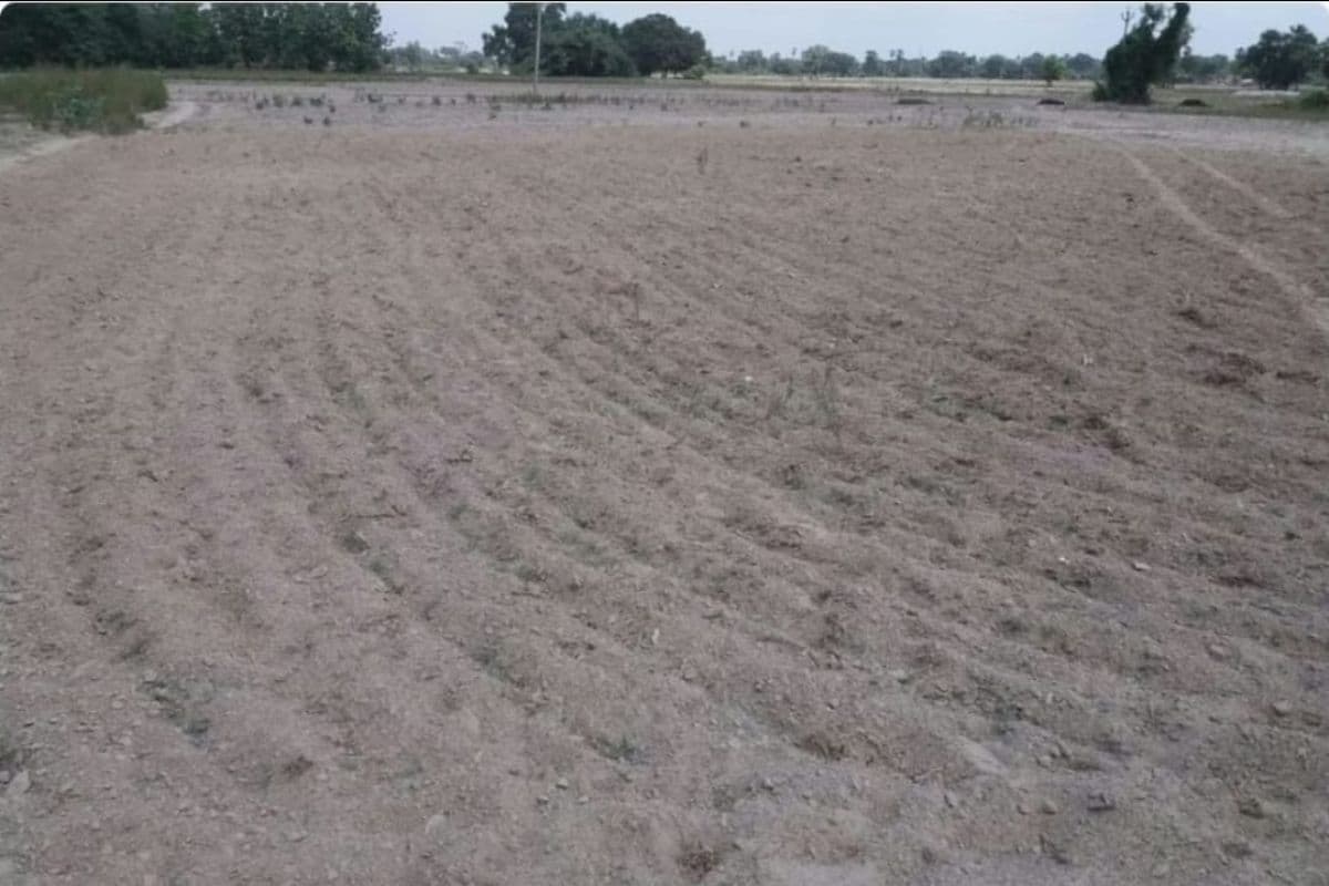 नवादा में लोगों को बारिश का इंतजार, सुखाड़ जैसे हालात और बिजली संकट से बिगड़ी स्थिति