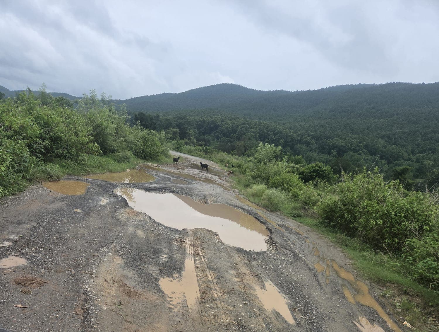 खरसावां-रड़गांव सड़क पर गड्ढों में जलजमाव से बढ़ी मुसीबत, हादसे का बढ़ा खतरा