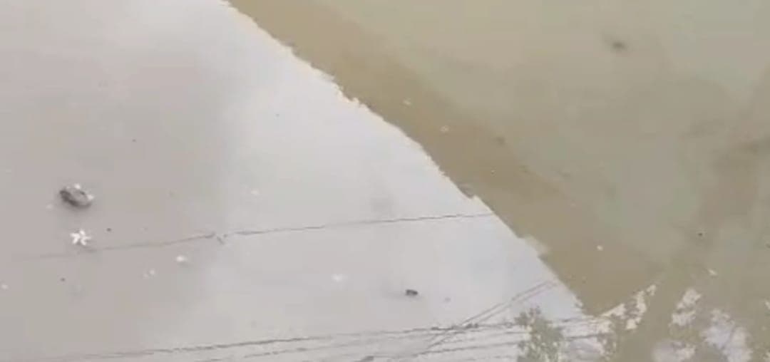 औरंगाबाद में बारिश ने खोली विकास की पोल, बस स्टैंड से न्यू एरिया तक सड़कें बनीं दलदल, लोगों का फूटा गुस्सा