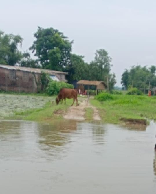 बारिश आई तो कट गया गांव का रिश्ता, सड़क टूटी... महादलित बस्ती हुई दुनिया से लगभग अलग