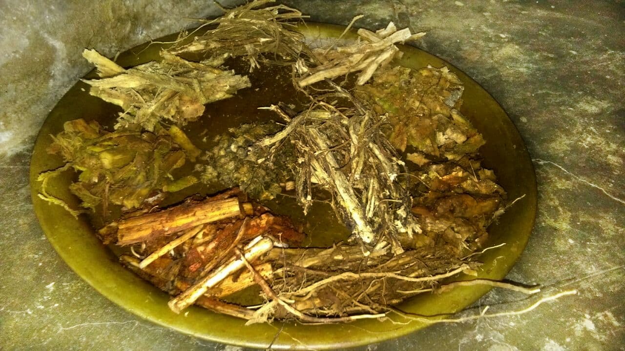 धर्म-परंपरा. बीमार प्रभु जगन्नाथ का देशी नुस्खों से हो रहा उपचार, आज अर्पित होगी दशमूल औषधि