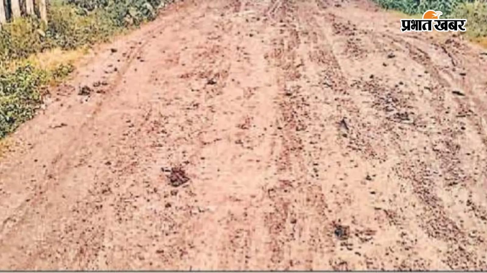 10 वर्षों से जर्जर लिंक रोड बनी मुसीबत,मामूली बारिश में कीचड़ से आवागमन ठप 10 वर्षों से जर्जर लिंक रोड बनी मुसीबत,मामूली बारिश में कीचड़ से आवागमन ठप