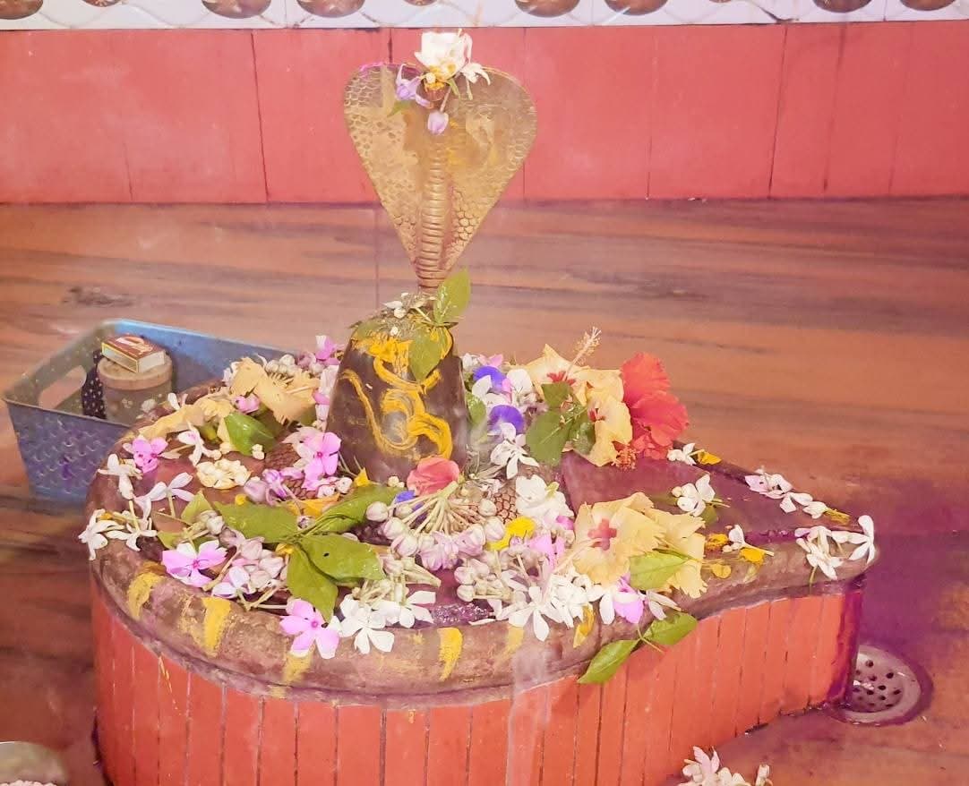 योगिनी एकादशी पर शिवालयों व ठाकुरबाड़ियों में उमड़ा आस्था का सैलाब