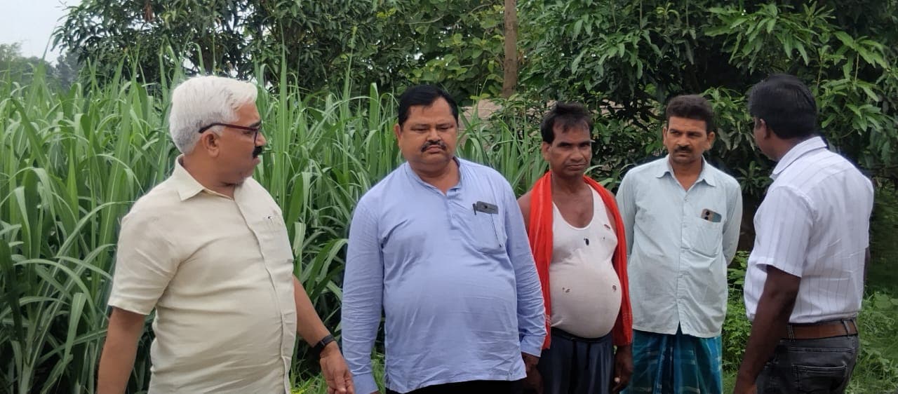 पेज05: बिहार में पहली बार मानसून में होगी गन्ने की बुआई, थरुहट की रेतीली जमीन पर लिखी जाएगी खेती की नई इबारत पेज05: बिहार में पहली बार मानसून में होगी गन्ने की बुआई, थरुहट की रेतीली जमीन पर लिखी जाएगी खेती की नई इबारत