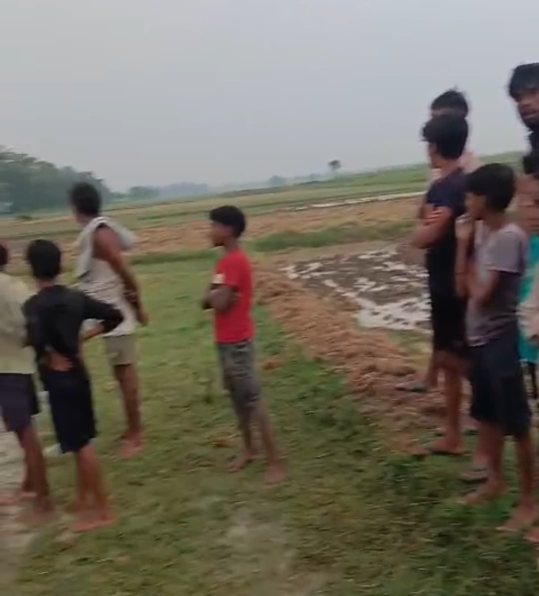 पचरुख्खी बहियार में विद्युत प्रवाहित तार की चपेट में आने से दुधारू गाय की हुई मौत