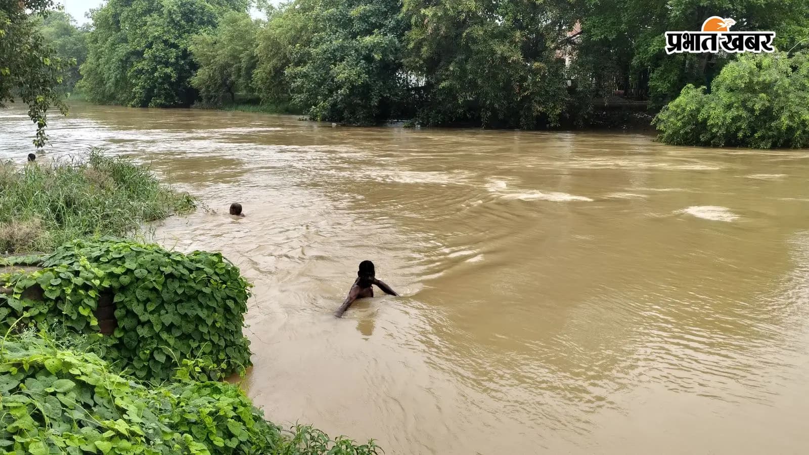 लालगंज नहर में डूबी महिला लालगंज नहर में डूबी महिला