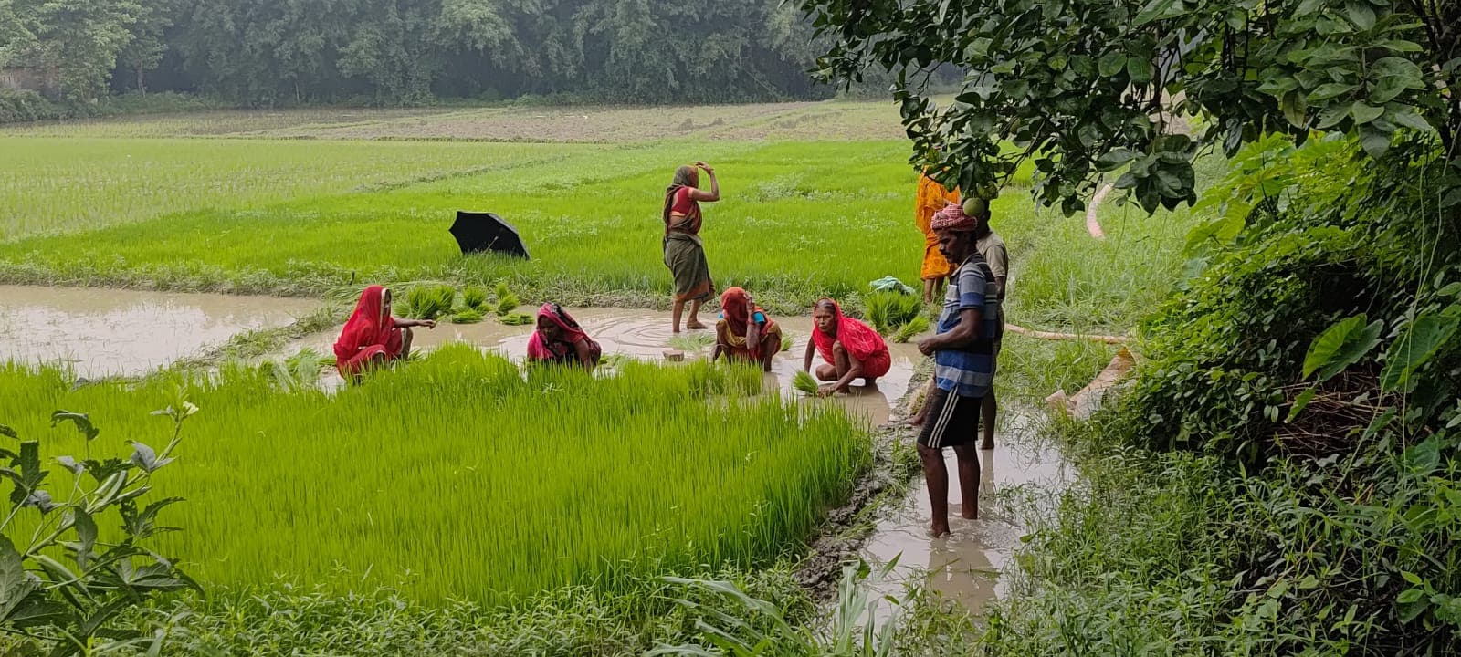 सुपौल में राहत की बारिश बनी मुसीबत, गांधी मैदान झील में तब्दील, शहर की सड़कों पर जलजमाव से बढ़ी परेशानी