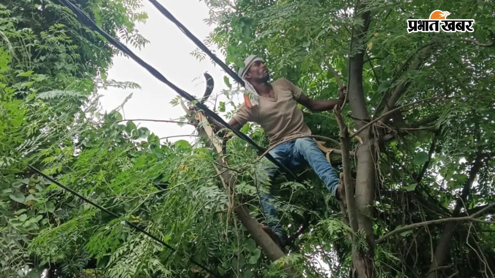 बिजली तार से सटी शाखाओं की छटाईं करते कर्मी