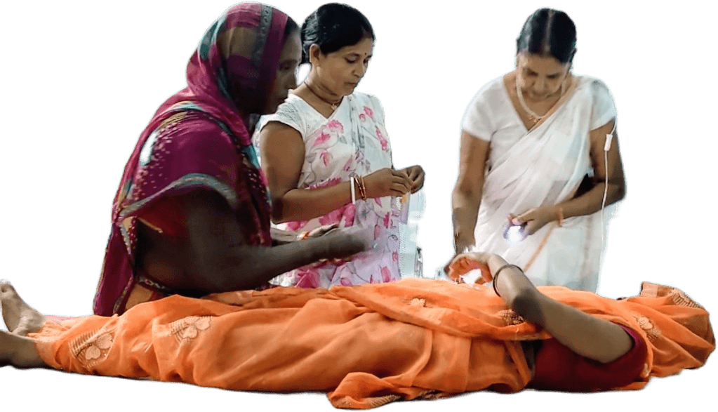 पूर्णीया में चौकी के नीचे से सब्जी निकाल रही महिला को जहरीले सांप ने डंसा, हालत गंभीर