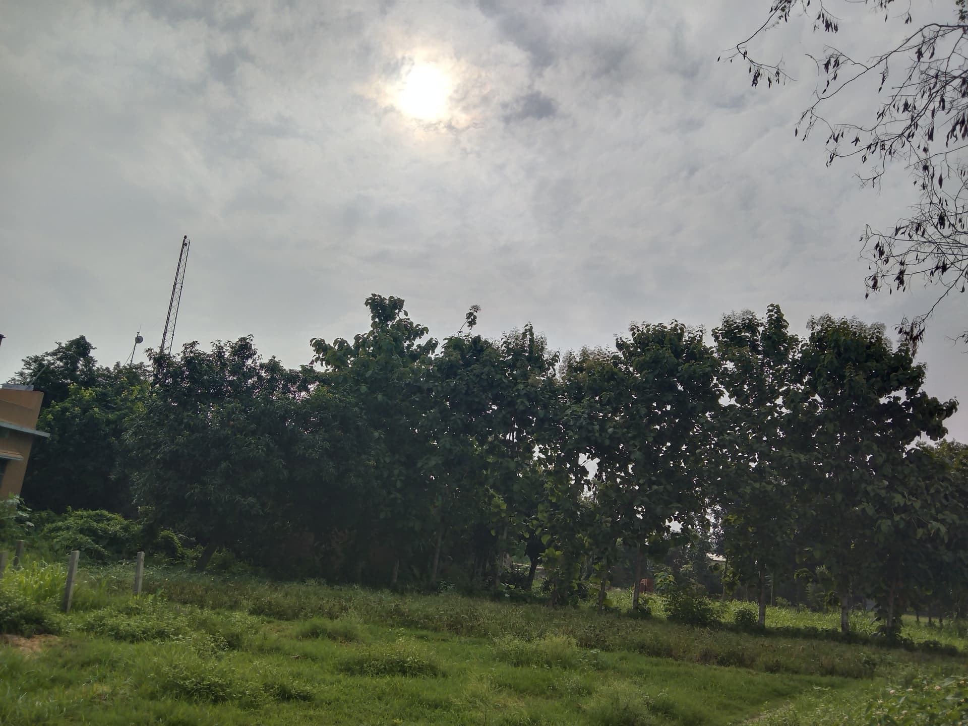 लखीसराय में आज भी गरज-चमक के साथ बारिश के आसार: उमस भरी गर्मी रहेगी बरकरार