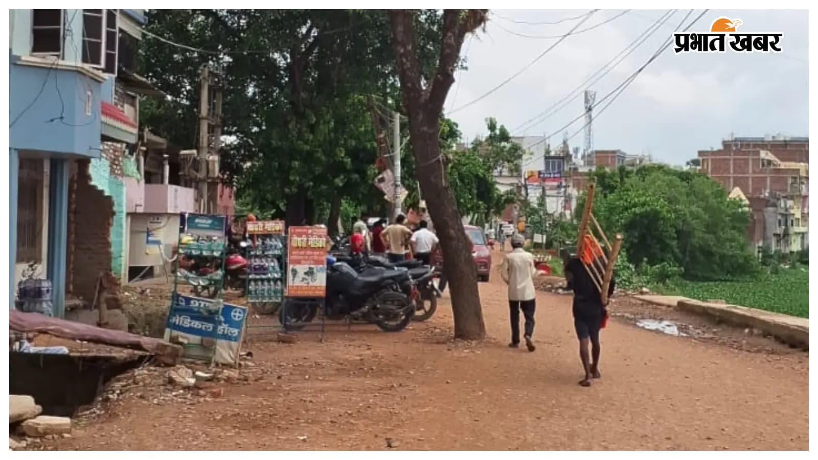  रिंग बांध सड़क पर पेड़
