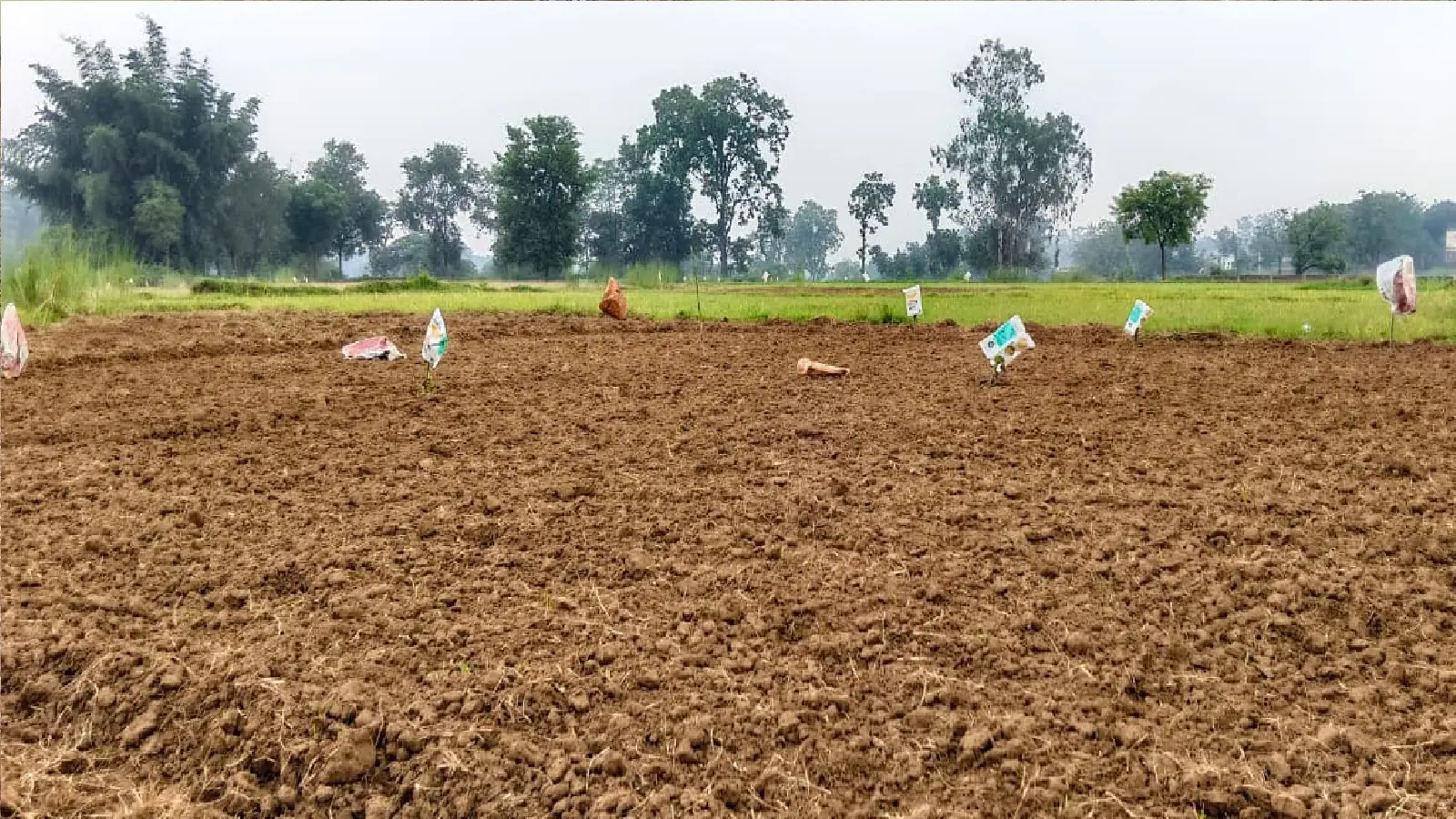 बिन पानी के सूखा खेत.