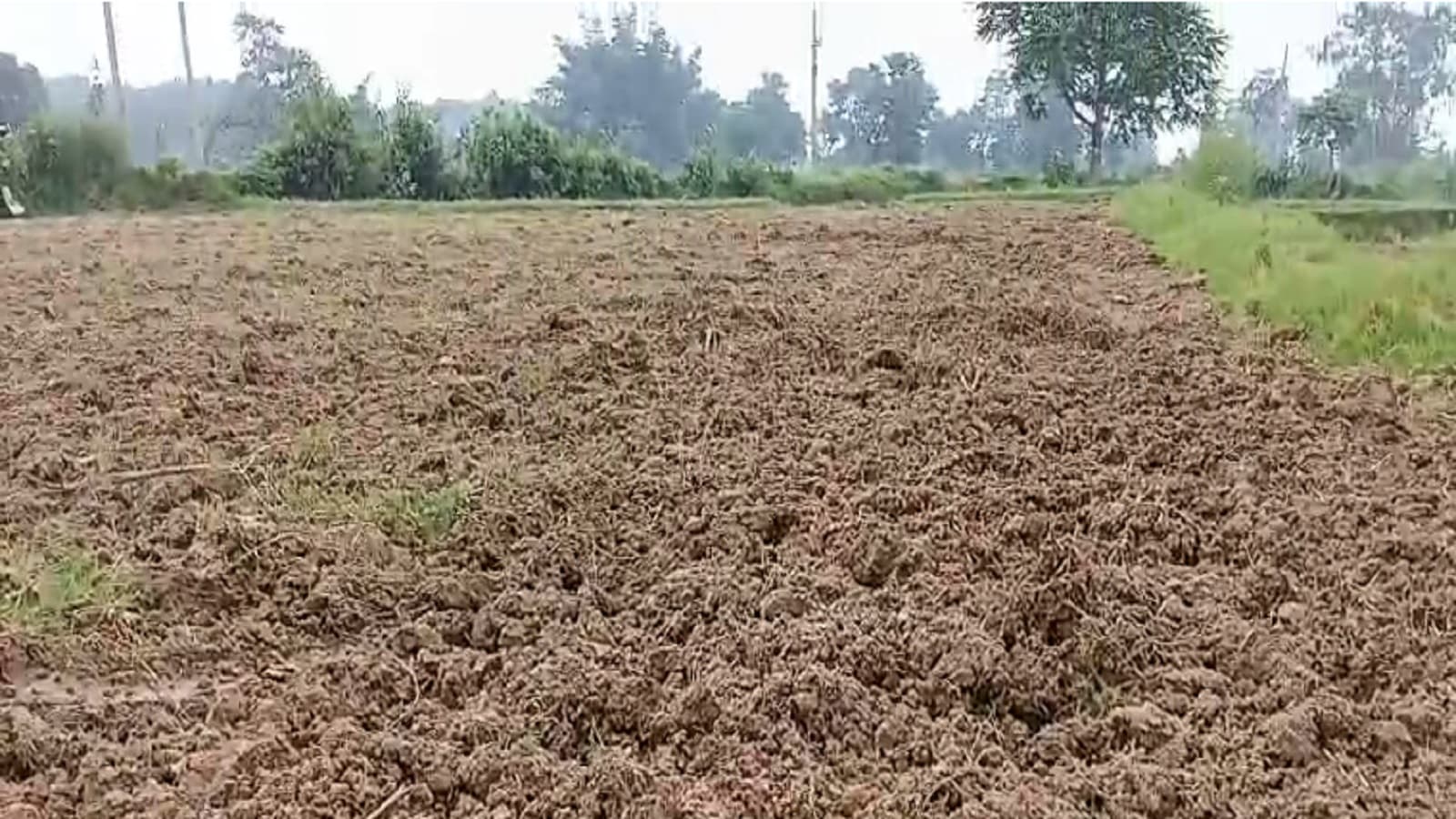 जुताई के बाद सूखा पड़ा खेत.