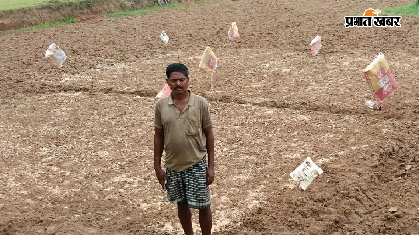 खेत में खड़ा चिंतित किसान. फोटो: प्रभात खबर खेत में खड़ा चिंतित किसान. फोटो: प्रभात खबर