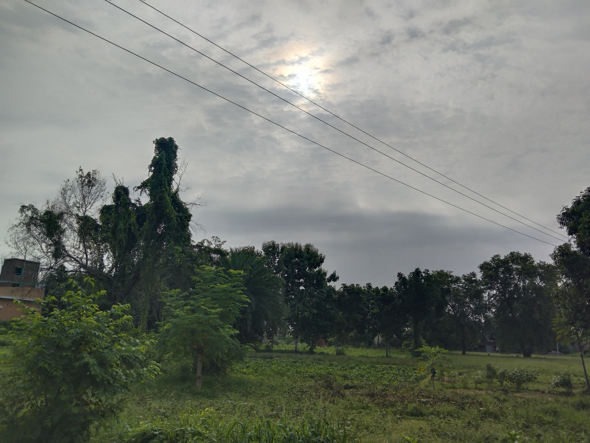 कई दिनों बाद लखीसराय में निकली तेज धूप, बारिश कम होने से बढ़ी किसानों की चिंता
