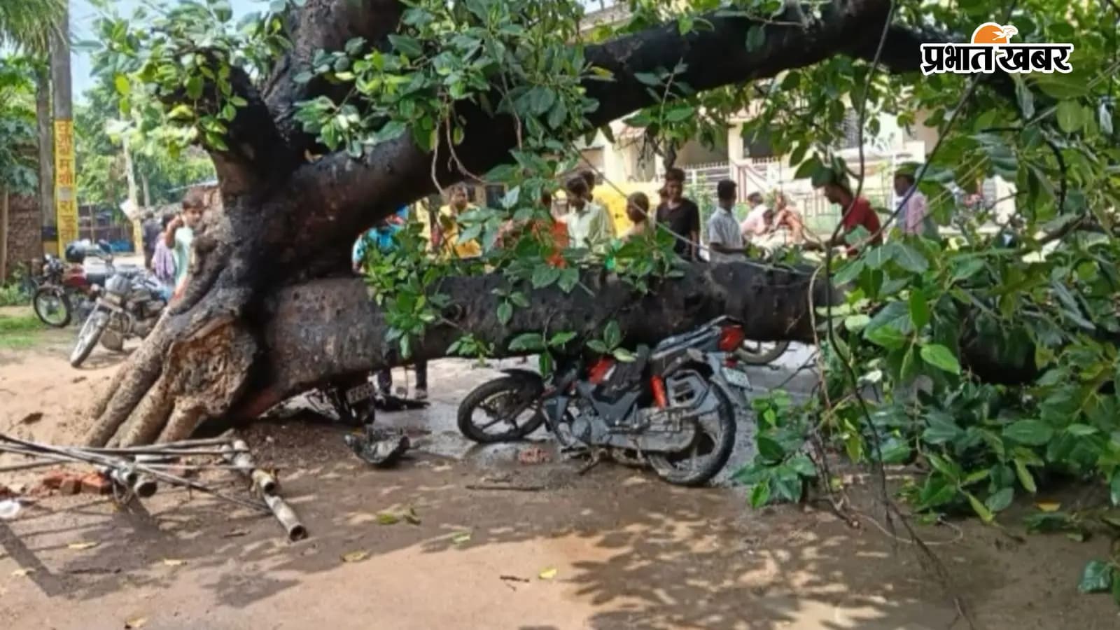 पेड़ गिरने से मोटरसाइकिल दबा, ग्रामीण बचे पेड़ गिरने से मोटरसाइकिल दबा, ग्रामीण बचे