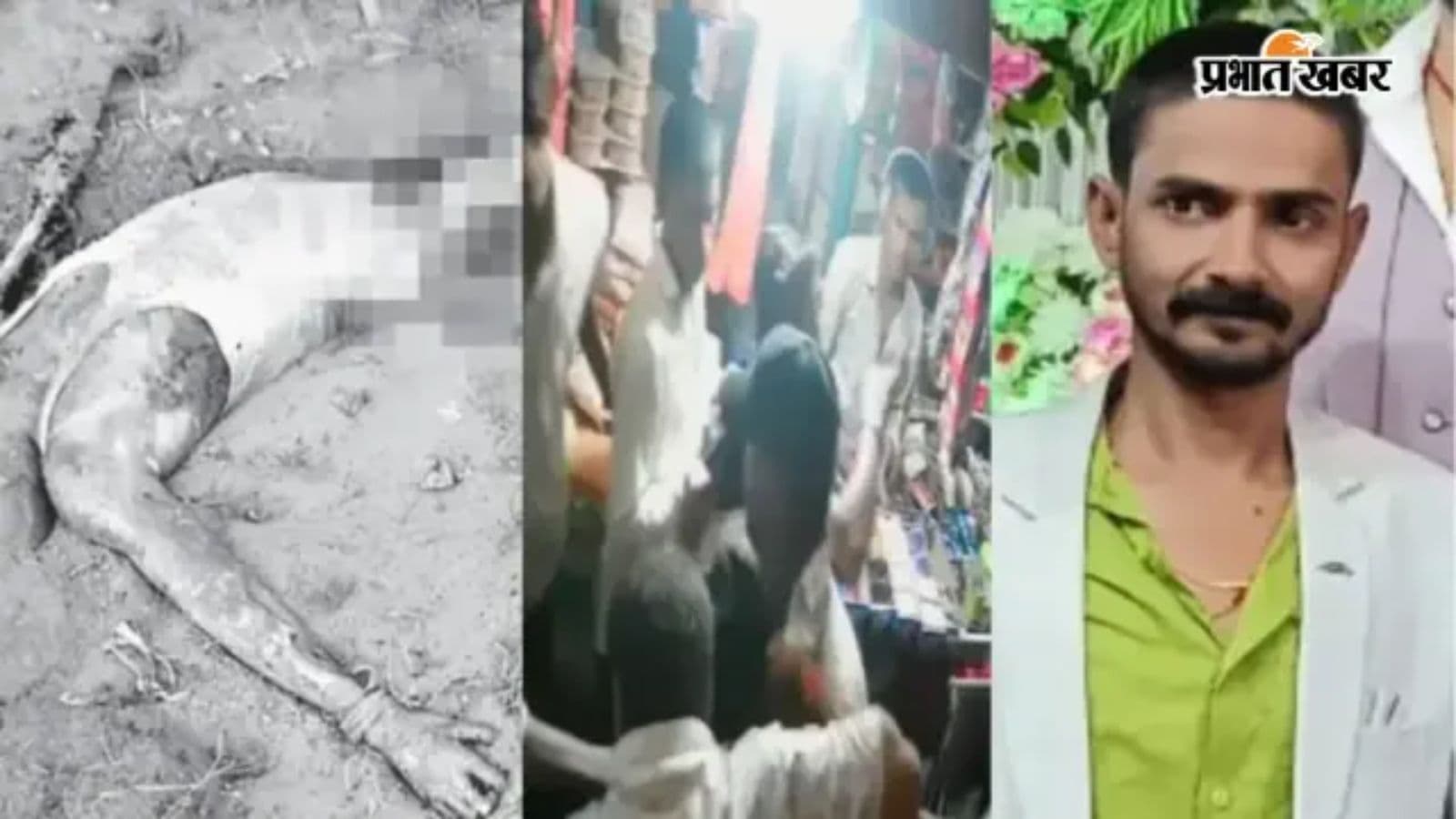 बंटी की तस्वीर