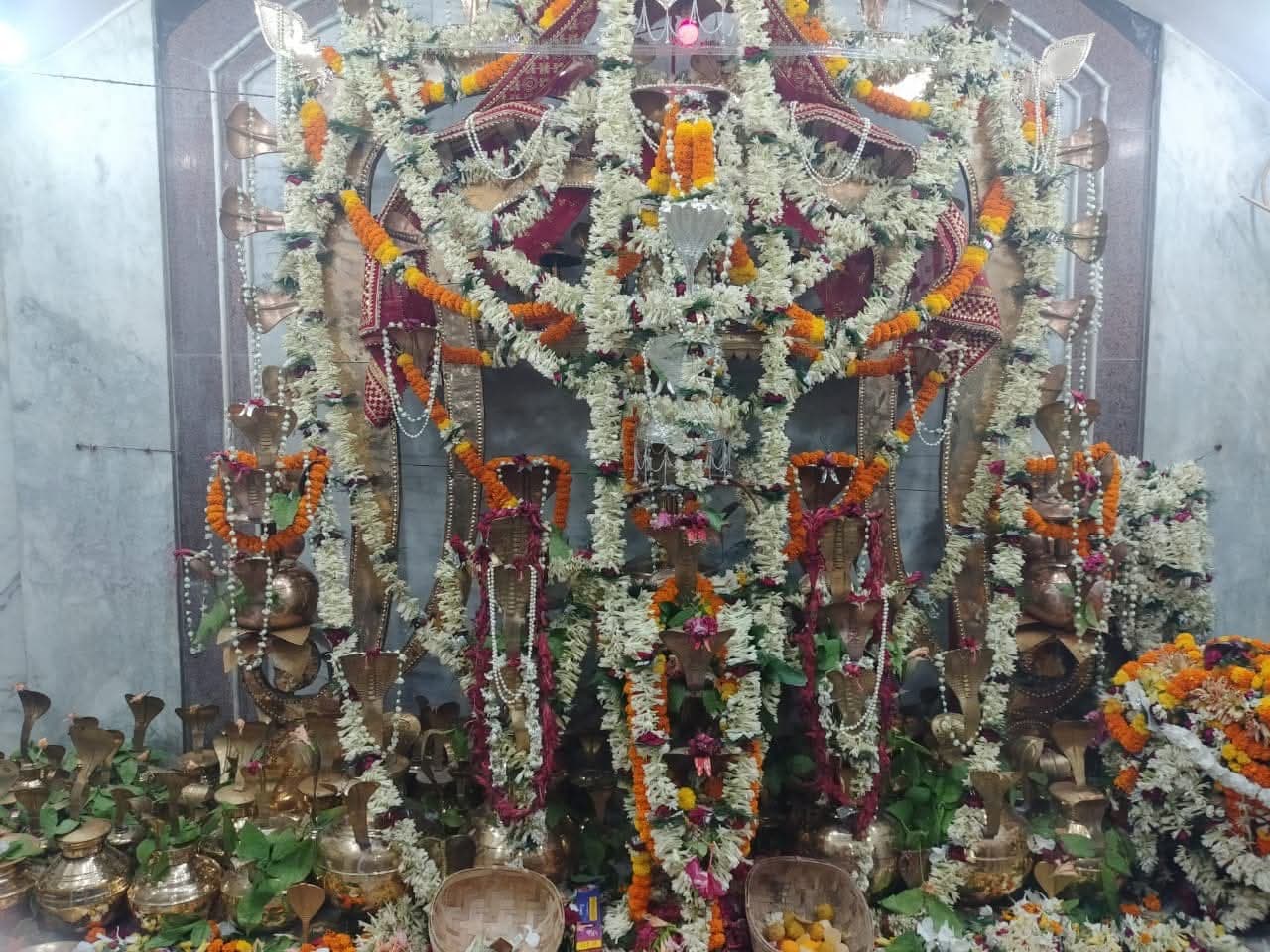 अंग क्षेत्र में शुरू हुआ एक माह का बिहुला-विषहरी महापर्व, आज निकलेगी बारी कलश शोभायात्रा, जानिए पूजा का धार्मिक महत्व