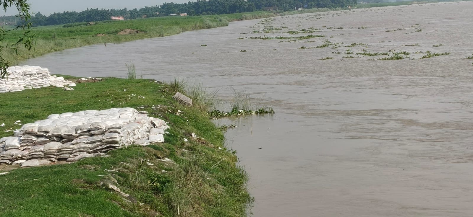 अमदाबाद के बेलगच्छी में महानंदा नदी का तांडव: 100 फीट जमीन नदी में समाई, स्कूल पर मंडराया अस्तित्व का खतरा