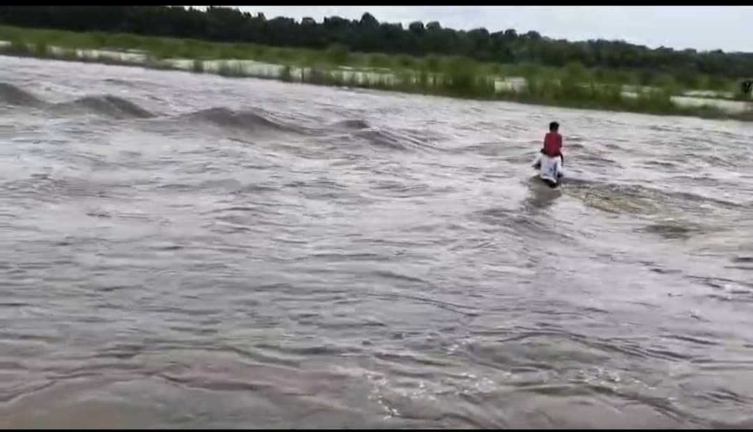 उफनती नदी में बेटे को कंधे पर बैठाकर स्कूल पहुंचाने निकला पिता, वायरल वीडियो ने बयां की दोन क्षेत्र की मजबूरी