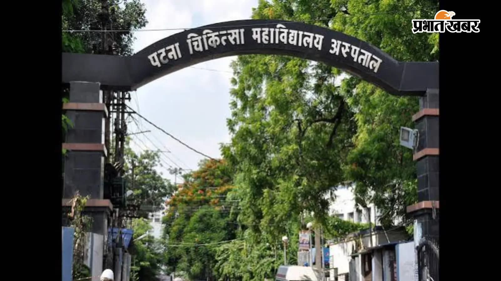 डेंगू अलर्ट: PMCH में विशेष वार्ड, पूरे बिहार में 318...
