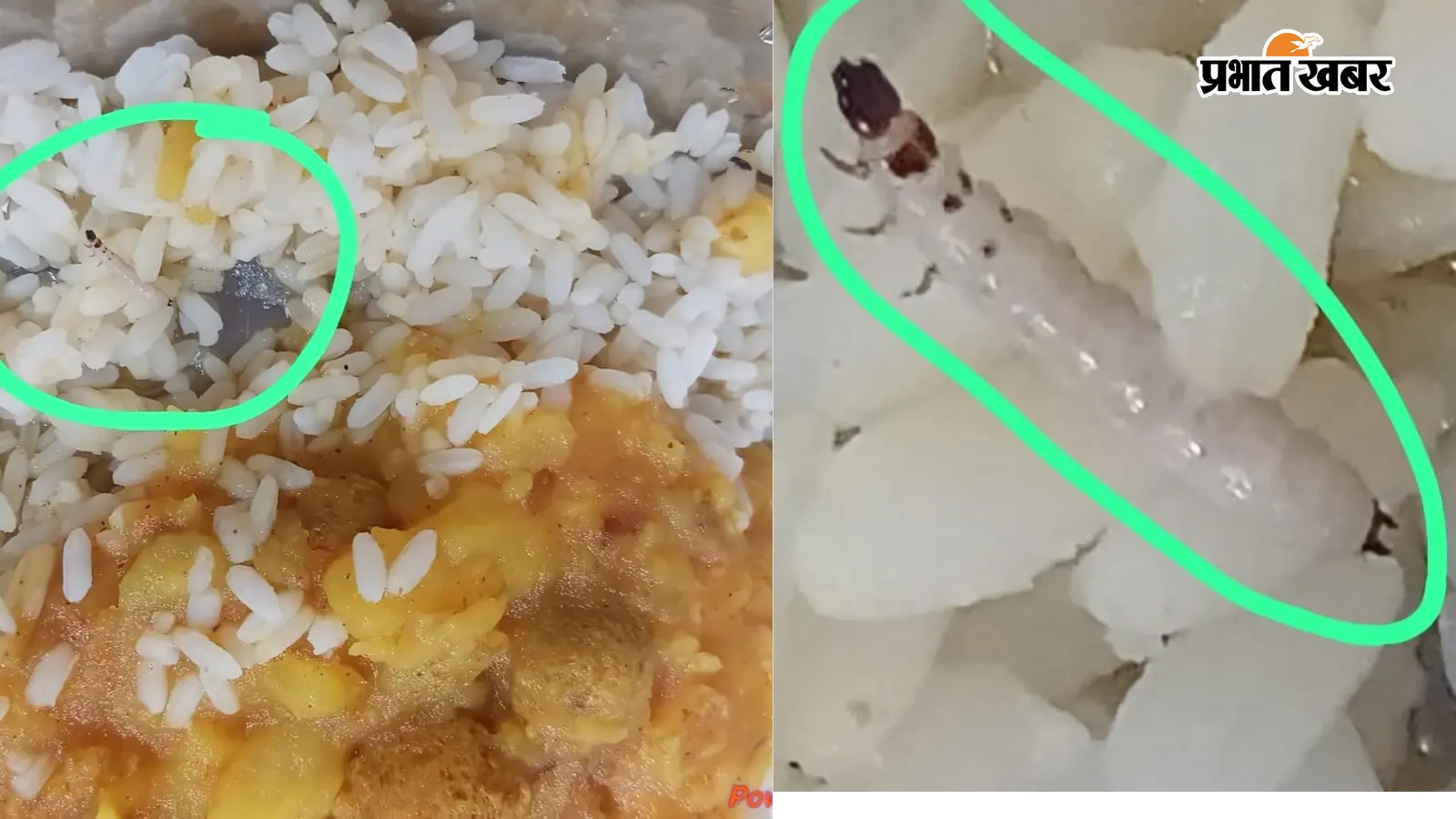 मसौढ़ी के तारेगना मुसहरी स्कूल में एमडीएम में निकला कीड़ा, बच्चों ने खाना फेंका, जांच के आदेश