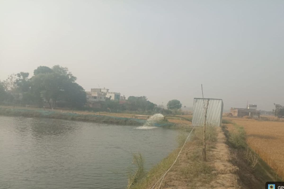 नालंदा : मत्स्य पालन से युवाओं को मिलेगा रोजगार, सरकार दे रही 60% तक अनुदान और हैचरी योजना का लाभ