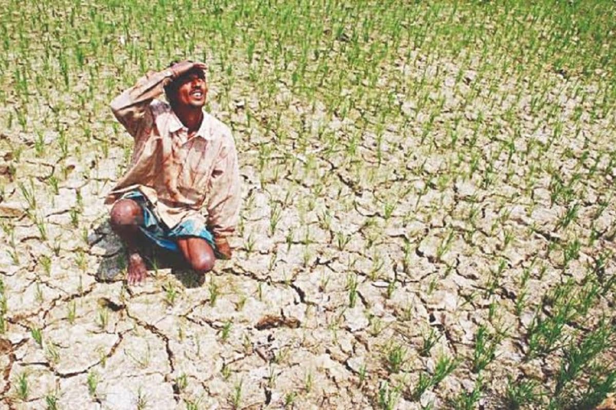 मानसून की बेरुखी से भागलपुर बेहाल : सूखे खेत, बढ़ी किसानों की चिंता, धान की खेती पर संकट मानसून की बेरुखी से भागलपुर बेहाल : सूखे खेत, बढ़ी किसानों की चिंता, धान की खेती पर संकट