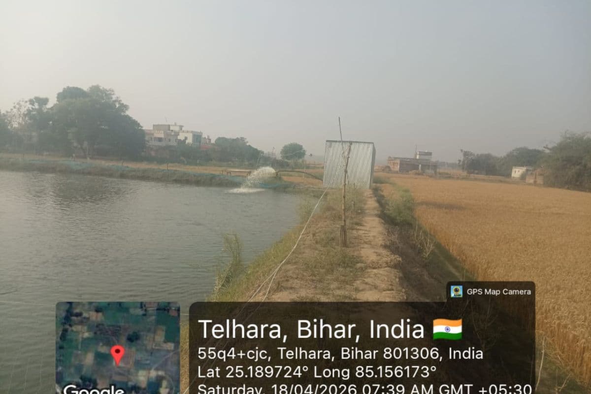 मुख्यमंत्री तालाब मत्स्यिकी योजना से बेरोजगारों को मिलेगा लाभ, केंद्र और राज्य की 16 योजनाओं से मत्स्य पालकों को राहत