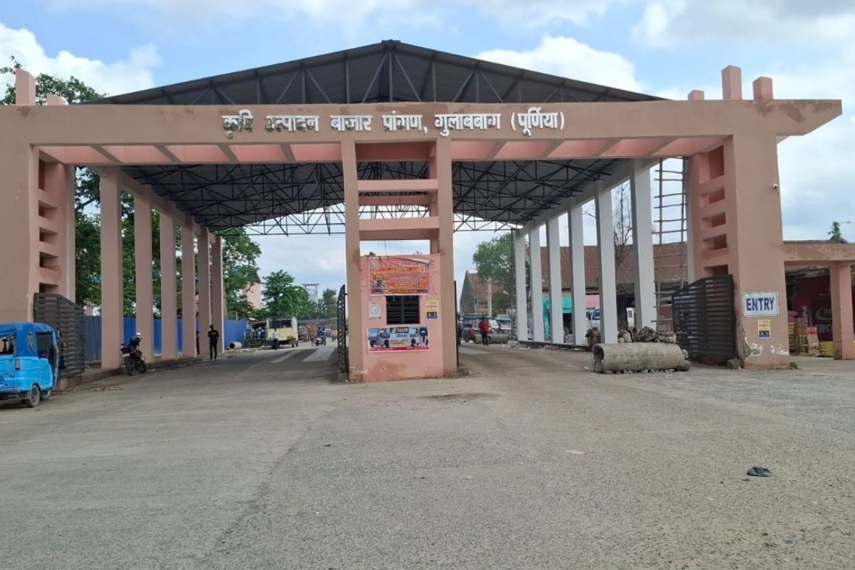 गुलाबबाग मंडी में मक्का ने लगाई ऊंची छलांग: बाहरी डिमांड बढ़ने से 30 रुपये प्रति क्विंटल चढ़ा भाव, आवक हुई तेज