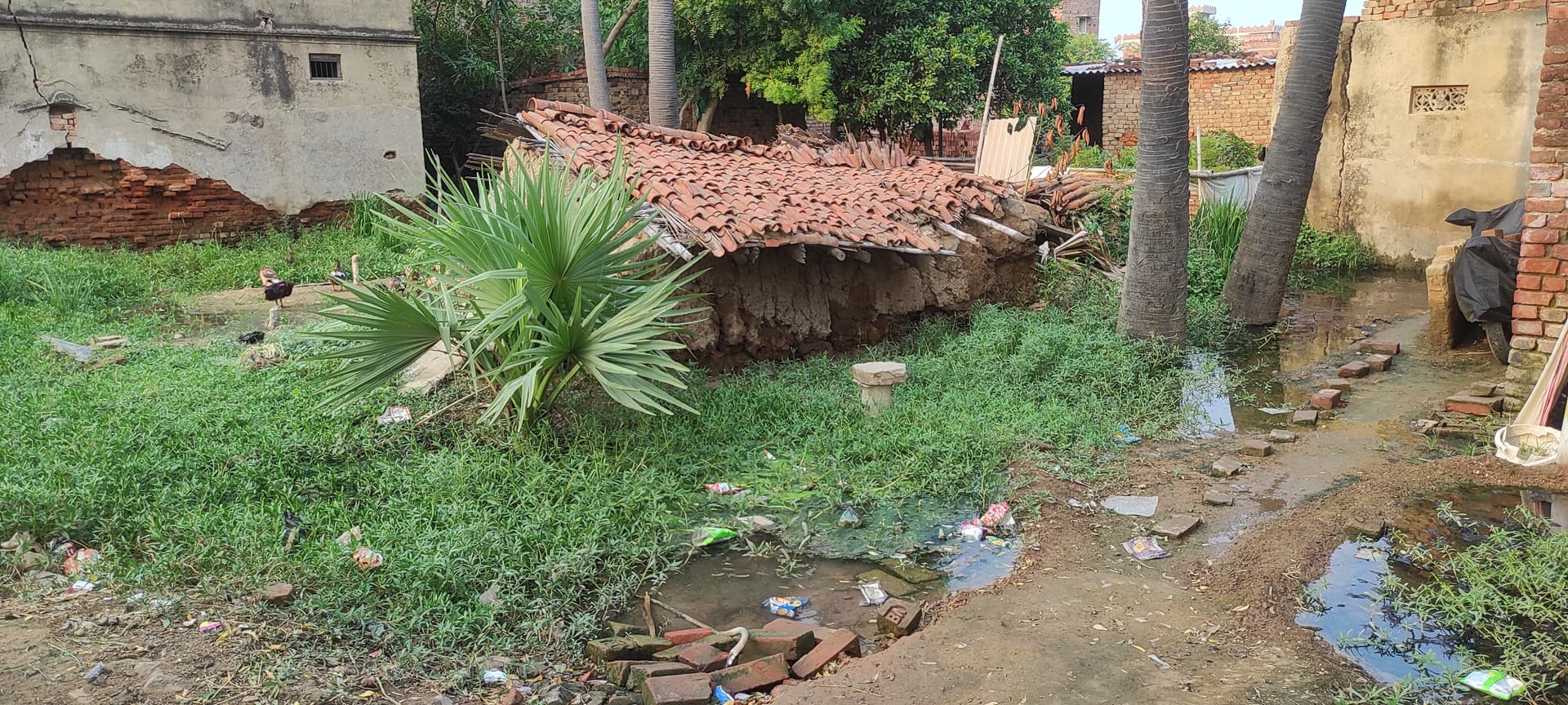 राजगीर में जलजमाव से उजड़ रहा महादलित टोला, दरक रहे घर; पलायन को मजबूर परिवार