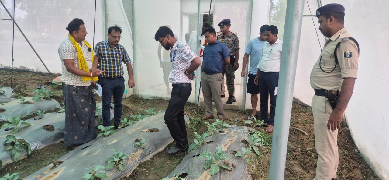 शेखपुरा में खेतों तक पहुंचे DM, किसानों की समस्याएं सुनीं, ड्रैगन फ्रूट खेती बढ़ाने पर दिए निर्देश